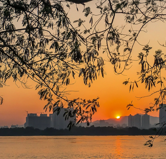 Kolshet Creek, Thane, Maharashtra - Vushii.com